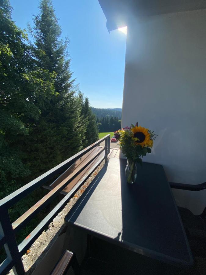 Dreisessel Dreilaendereck Pool Sauna Neureichenau Kültér fotó