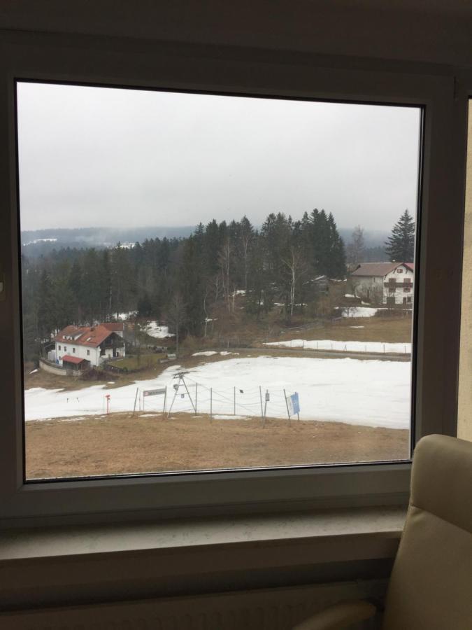 Dreisessel Dreilaendereck Pool Sauna Neureichenau Kültér fotó