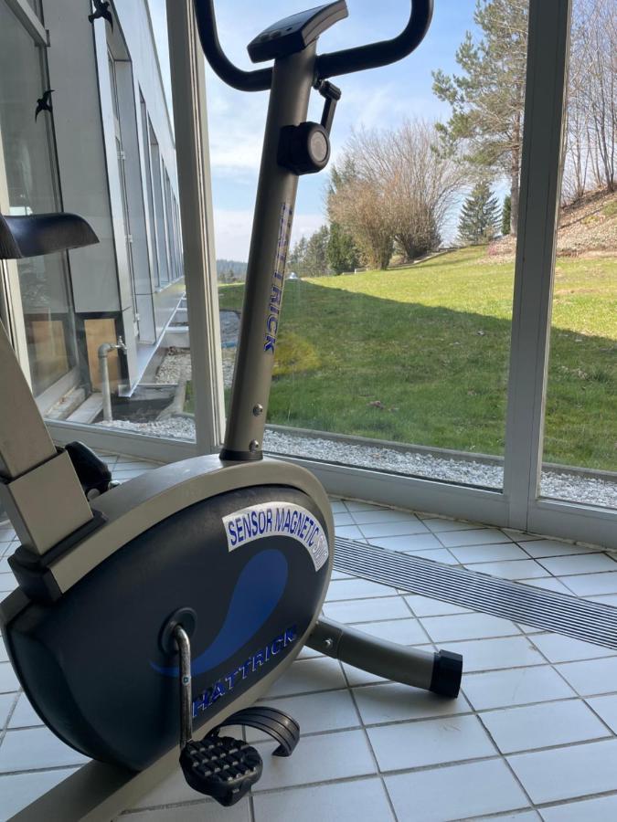 Dreisessel Dreilaendereck Pool Sauna Neureichenau Kültér fotó